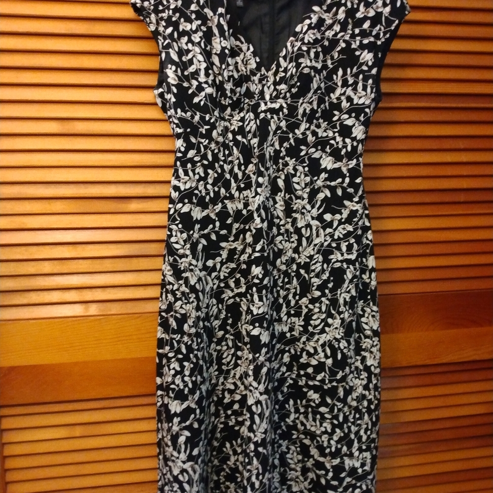 Ladies dress